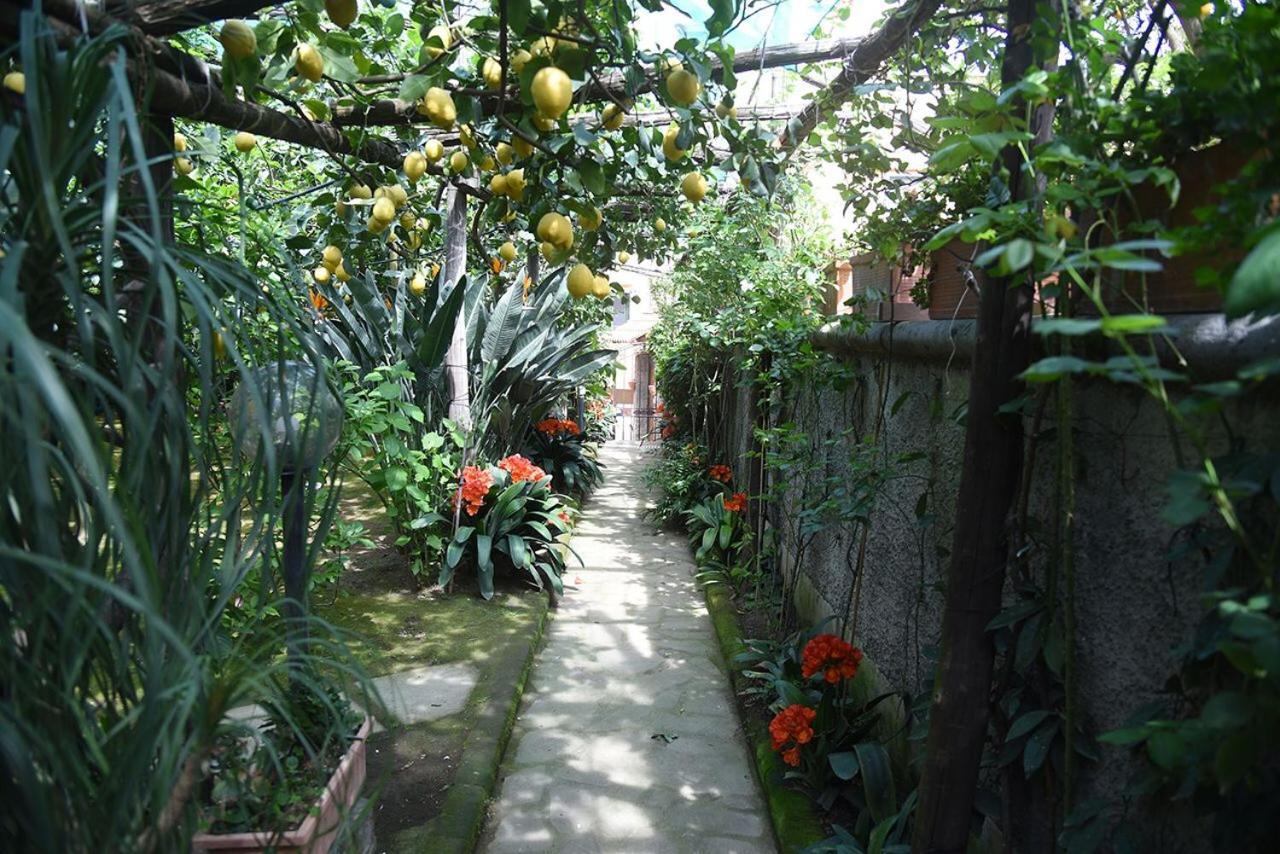 Anthea Sorrento Bed and Breakfast Buitenkant foto
