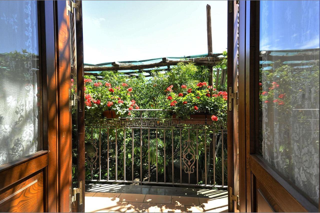 Anthea Sorrento Bed and Breakfast Buitenkant foto